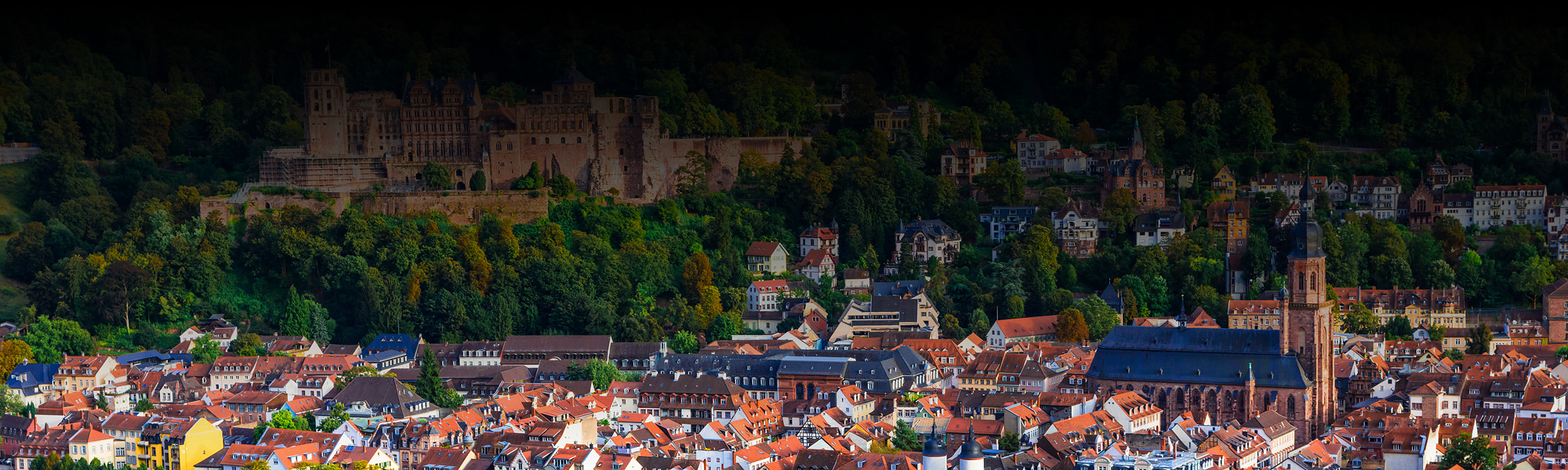 Heidelberg_Header_2000x600