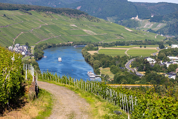 Moseltal_Hunsureck-Mosel-Radweg